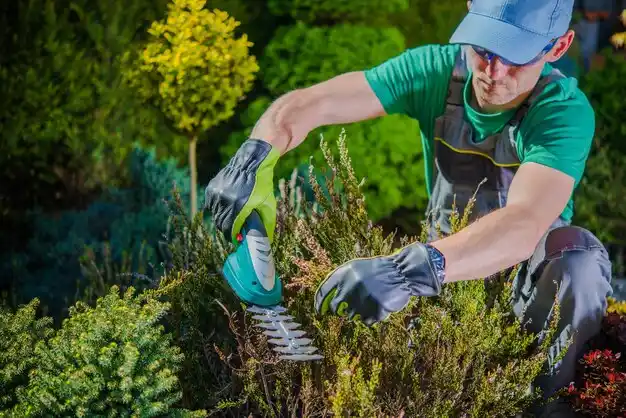 landscaping services Mississippi Valley State University